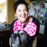 Searching for a Pet Service Provider Job in Chilliwack, British Columbia