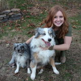 Fayetteville Pet Sitter