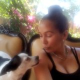 Capable Pet Care Available Immediately