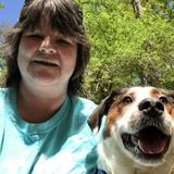 Loving and Reliable Animal Care Giver