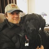Treat your dog just like you would!