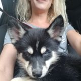 For Hire: Seasoned Pet Care Provider in Saline