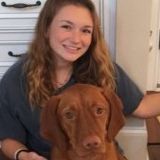 Seeking a Petsitter Job in Evans