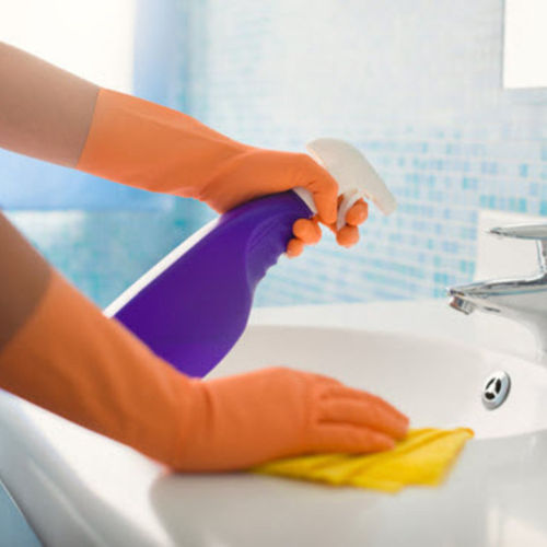 Housekeeper Provider Maria B's Profile Picture