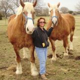 House and pet sitter in Berthoud, CO
