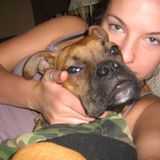 Well Trained Dog Sitter/Walker in Etobicoke