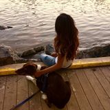 Energetic and flexible pet sitter looking for tasks