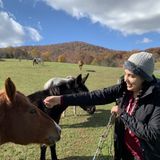 Young Professional looking to HouseSit for extra income!