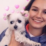 Interested In a Pet Sitter Job in Kingman, Arizona
