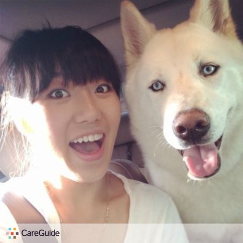 Pet Care Provider Rachel Y's Profile Picture