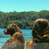 Experienced insured pet-lover at your service