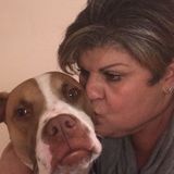 San Tan Valley, Arizona Pet Carer