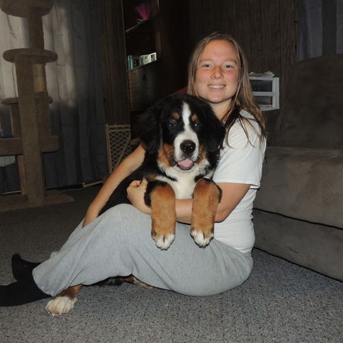 Child Care Provider Catrina R's Profile Picture