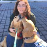 Available For Saint James Pet Sitter Jobs