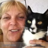 Pet Sitter