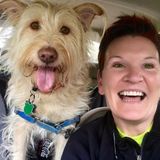 Professional Housesitter Since 2010 in Fairfield, Connecticut