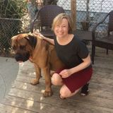 Trustworthy Pet Carer in Providence