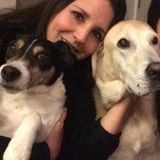 Excellent house and pet sitter (including mail, trash recycle and plants)